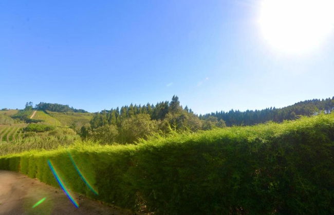 Cozy Villa near Óbidos with Private Swimming Pool - Foto 40