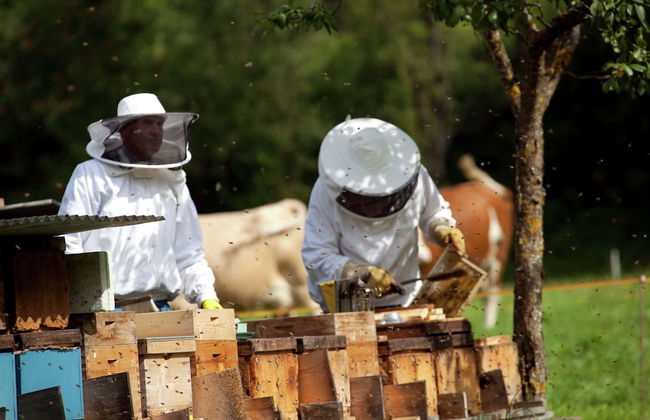 Gorgeous Chalet with Hot Tub in Tyrol - Foto 68