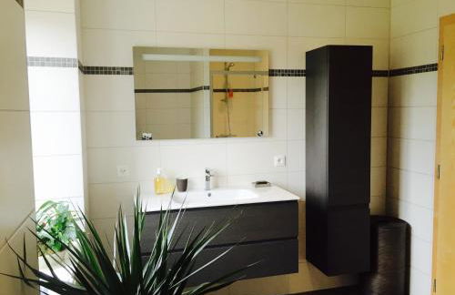 Meublés de Tourisme Heidelbeere - Foto 6