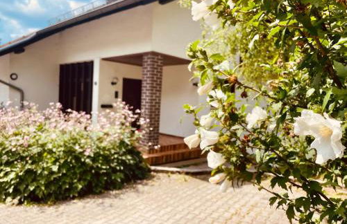 Odw homes - Large country house with three apartments and garden - Photo 1