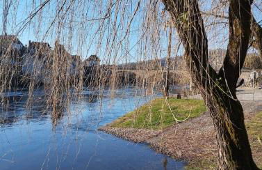 Appartement vue riviere - Foto 19