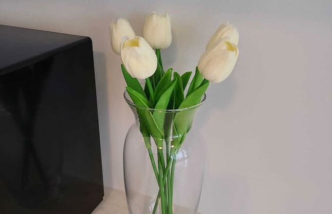 Halsey Waterfront Apartments - Foto 29