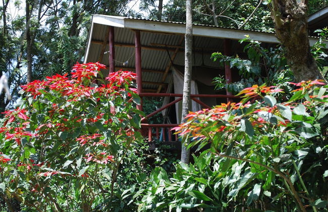 Crater Bay Cottages - Photo 66