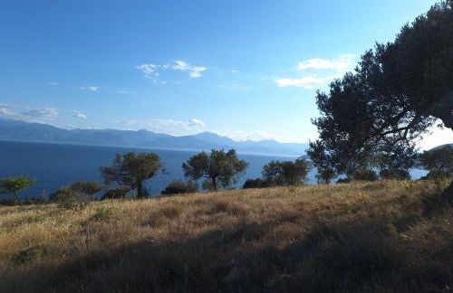 Physis Fokida - Foto 6