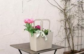 ROOTS BAMBERG - Central, Unique and Cozy - Photo 3