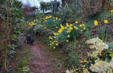 The Annexe @Granny’s Apple Lodge - Foto 19