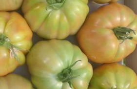 Agriturismo Fioredizucca - Foto 18