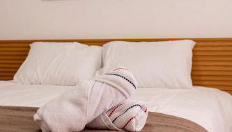 Respiro na Serra, casa no coração de Gonçalves - Foto 2