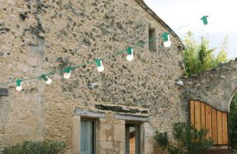 Domaine de la barbeirasse - Foto 48