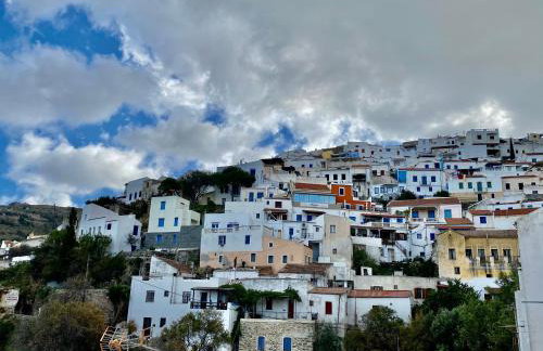 Lion House I - Photo 41