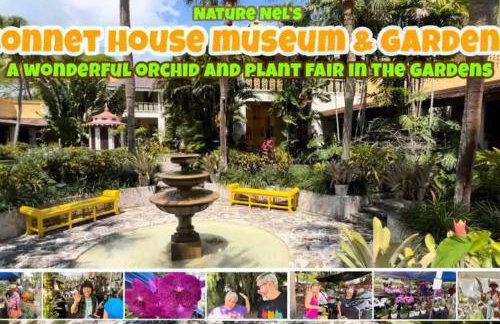 King Bed, 3 miles to Stadium - Foto 15