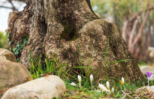 Alba Morus - Photo 37