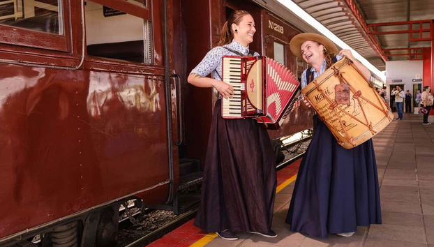 Tren Maria Fumaça + Vendimia en una hacienda vinícola - Foto 3