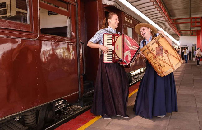 Tren Maria Fumaça + Vendimia en una hacienda vinícola - Foto 3