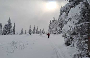 Chatka pod Lubaniem - Photo 46