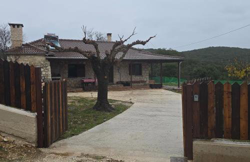 Κτήμα Βασίληγιάννη - Foto 72