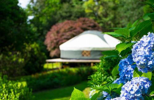 Old Argyll House - Foto 15