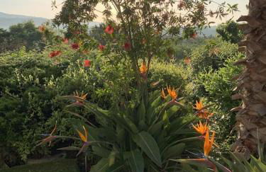 Les restanques maison des chênes vue mer 6 personnes - Foto 33