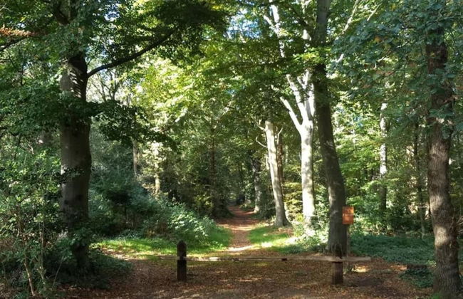 Superb Villa in the Woods of Gaasterland With Wifi and Fireplace - Foto 31