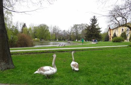 Apartament Parkowy - Foto 22