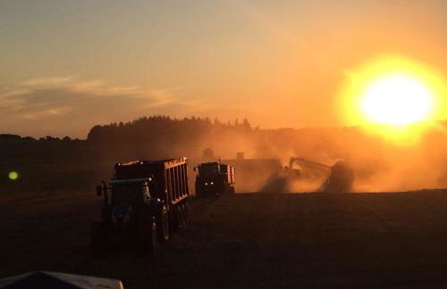 Hof Rabenstein Ostsee bei Kühlungsborn - Foto 40