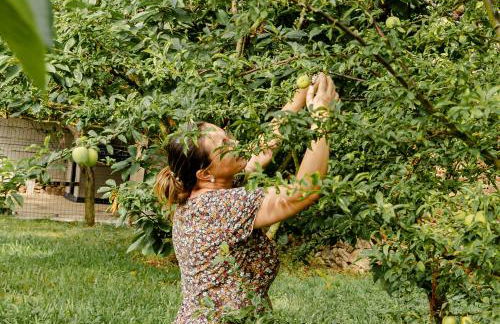Casa das Nogueiras - Foto 66
