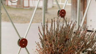 Ferienwohnung Ziegler - Photo 2