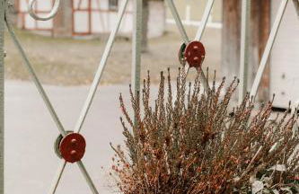 Ferienwohnung Ziegler - Photo 2