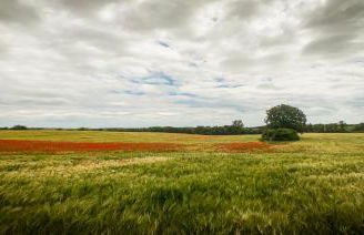 Ka:Ma Hof Uckermark - Foto 11