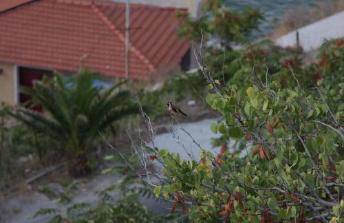 Frini Studios - Photo 59