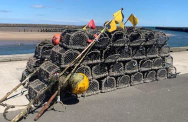 Tilly's Lookout - 3 bed/ 2 bathroom sea views - Foto 25