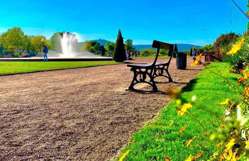 L'appart Moulin des Thermes Metz - Foto 36