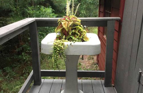 Serene Tiny House with a Big Charm for Glamping in Virginia - Photo 15