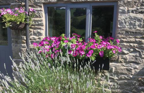 Lee house farm holiday cottage with possible use of hot tub ninety pounds a session - Foto 7