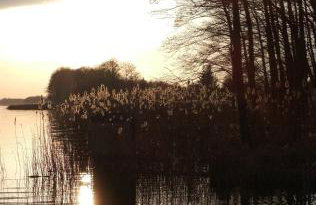 domki pod Jesionem Sławianowo nad jeziorem - Foto 37