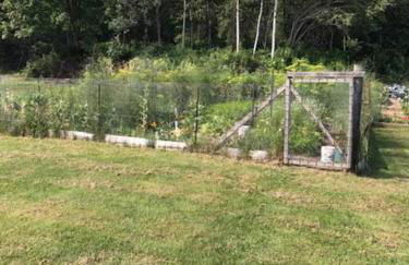 The Guest House at Sky Hollow - Foto 32