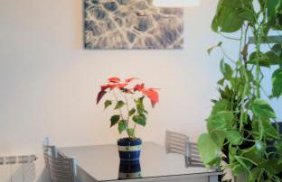 Apartamentos Turísticos Bahía de Boó - Foto 47