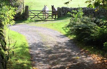 Rocking Stone Cottage - Foto 25