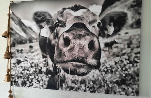 Ferienwohnungen Eisler - Foto 9