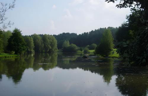 Ferienwohnung Vogelsang - Photo 20