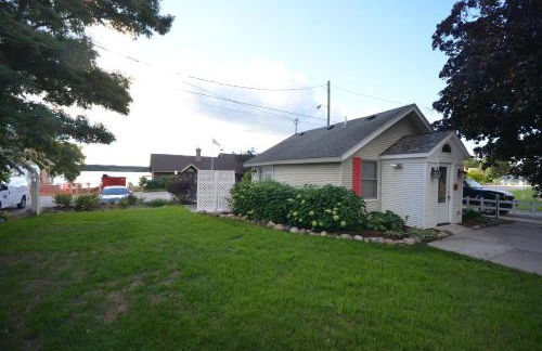 Sweet Cherry "Coral Shutter" - Foto 6