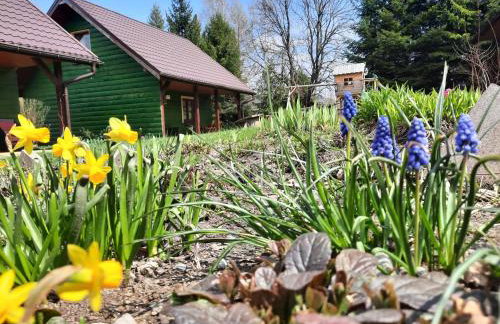 Domki i Apartamenty Rogate Anioły - Photo 10