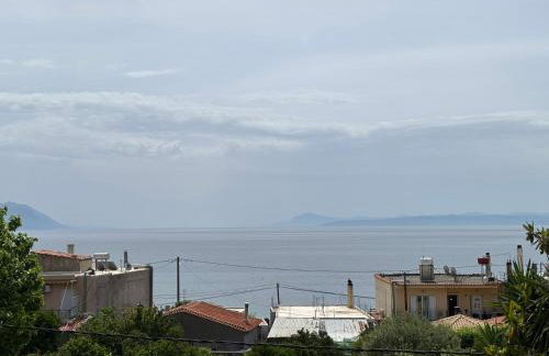 Davis Studios & Apartments - Ήλια Βόρειας Εύβοιας - 1' από τη θάλασσα - Foto 6