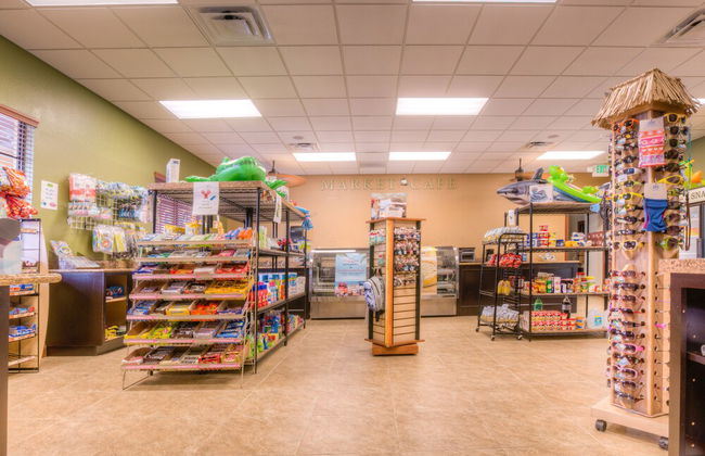 8960 Cat Palm Road - Foto 7