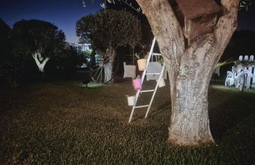 CASE DI BACCO - Foto 30