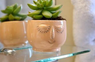 Alexandrino - Foto 19