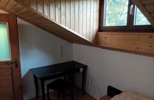 Burgberg Schöllnstein - Foto 21