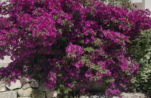 Grey House - Foto 27