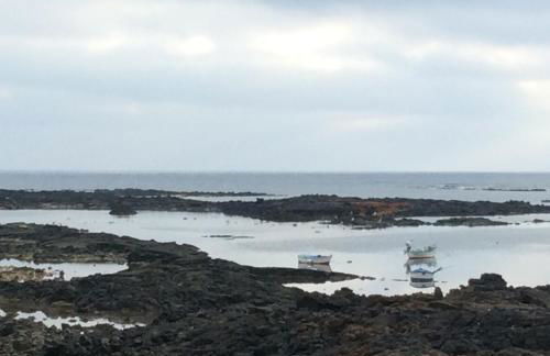 Ocean Sunshine - Foto 42