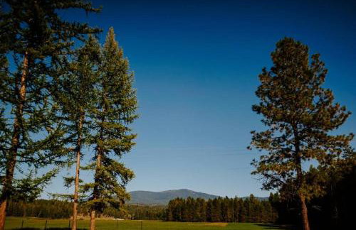 Luxe Nordic Barndominium Retreat at Black Pine - Foto 18